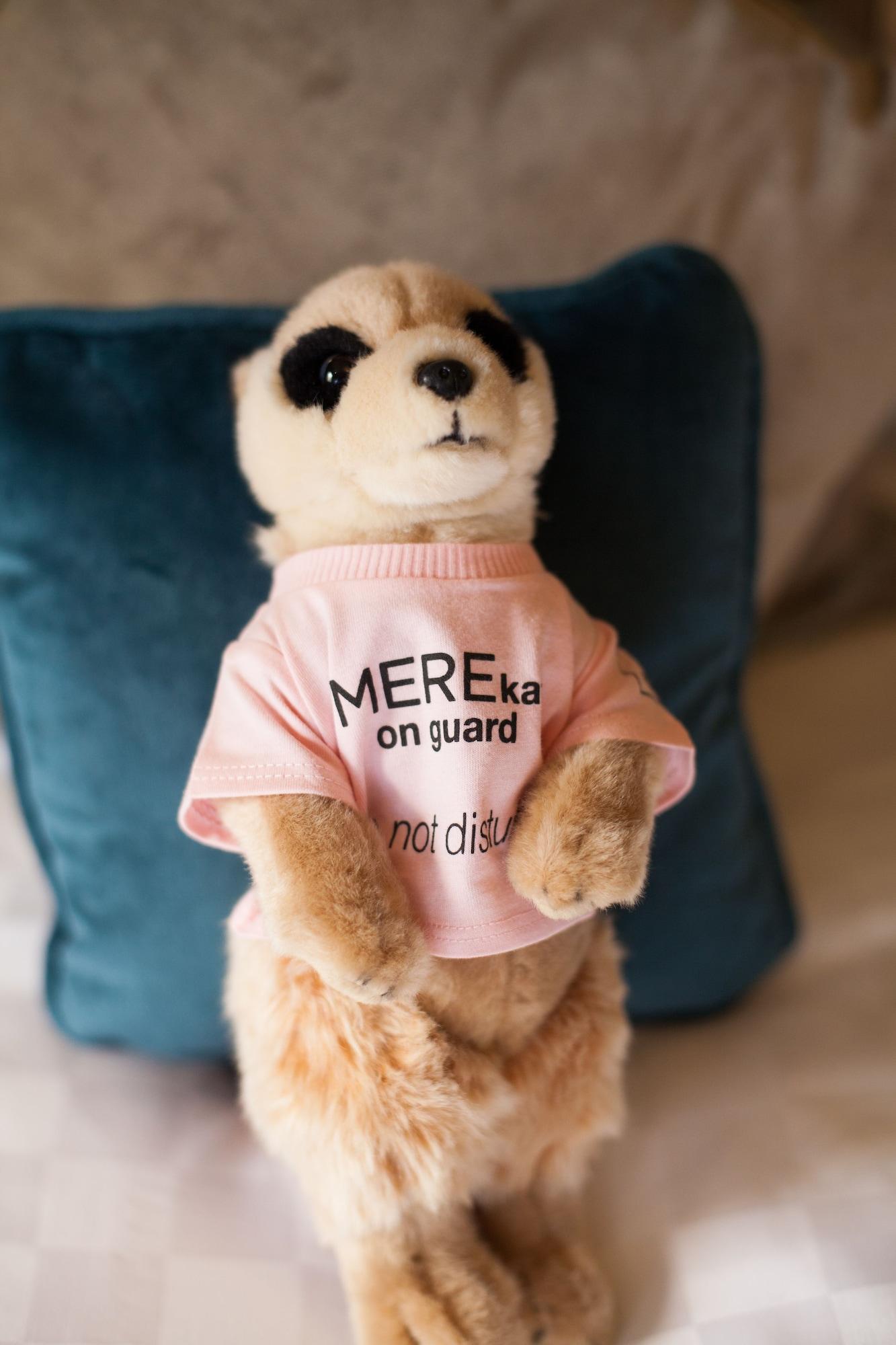The Mere Golf Resort & Spa エクステリア 写真